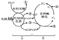 菁優(yōu)網(wǎng)