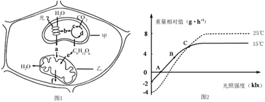 菁優(yōu)網(wǎng)