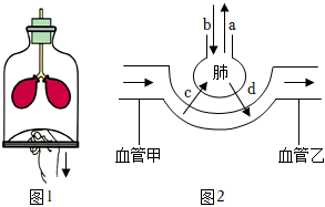 菁優(yōu)網(wǎng)