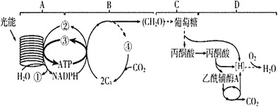 菁優(yōu)網(wǎng)