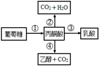 菁優(yōu)網(wǎng)