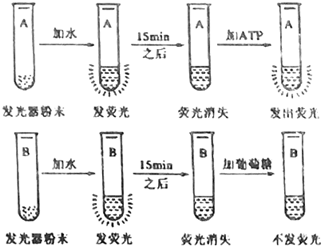 菁優(yōu)網