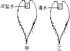 菁優(yōu)網(wǎng)