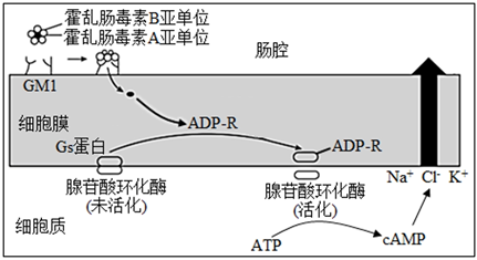 菁優(yōu)網(wǎng)