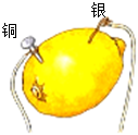 菁優(yōu)網(wǎng)