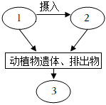 菁優(yōu)網(wǎng)