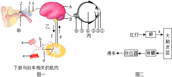 菁優(yōu)網(wǎng)