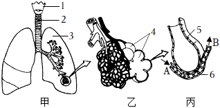 菁優(yōu)網(wǎng)