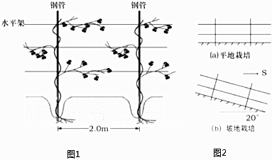 菁優(yōu)網