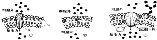 菁優(yōu)網