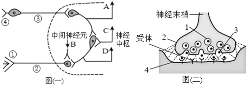 菁優(yōu)網