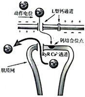 菁優(yōu)網