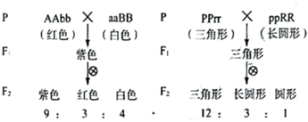 菁優(yōu)網