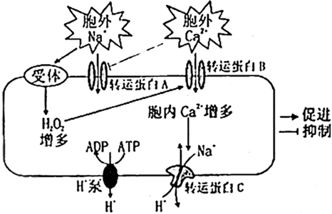 菁優(yōu)網(wǎng)