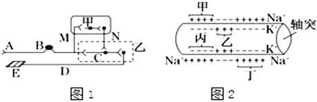 菁優(yōu)網(wǎng)