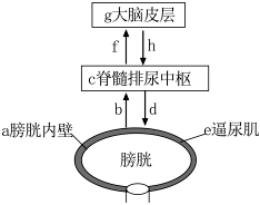 菁優(yōu)網