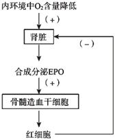 菁優(yōu)網