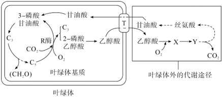 菁優(yōu)網(wǎng)