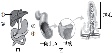 菁優(yōu)網(wǎng)