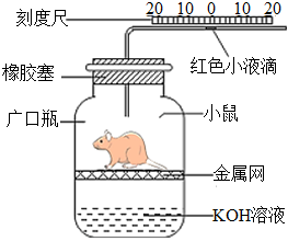 菁優(yōu)網