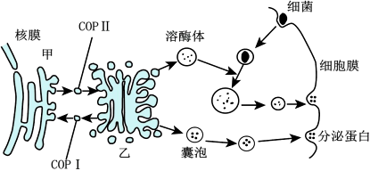 菁優(yōu)網(wǎng)