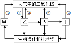 菁優(yōu)網(wǎng)