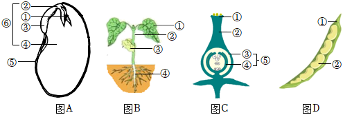 菁優(yōu)網