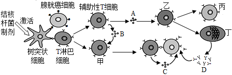 菁優(yōu)網