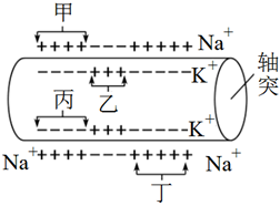 菁優(yōu)網(wǎng)