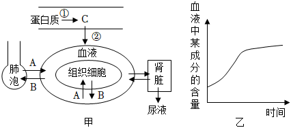 菁優(yōu)網(wǎng)