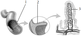 菁優(yōu)網(wǎng)