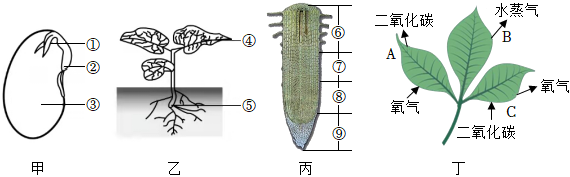 菁優(yōu)網(wǎng)