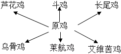 菁優(yōu)網