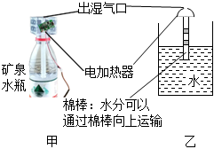 菁優(yōu)網(wǎng)