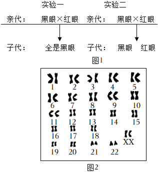 菁優(yōu)網