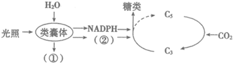 菁優(yōu)網(wǎng)