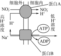 菁優(yōu)網(wǎng)