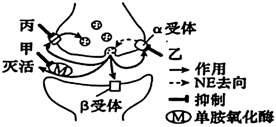 菁優(yōu)網(wǎng)