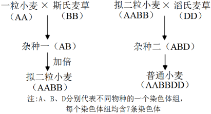 菁優(yōu)網