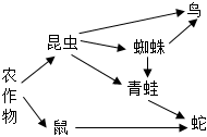 菁優(yōu)網(wǎng)