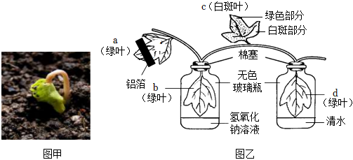 菁優(yōu)網