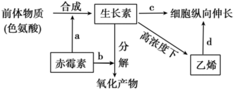 菁優(yōu)網