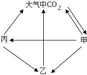 菁優(yōu)網(wǎng)