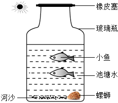 菁優(yōu)網(wǎng)