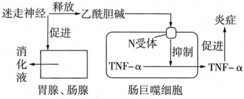 菁優(yōu)網