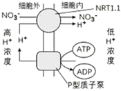 菁優(yōu)網(wǎng)