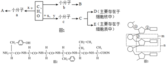 菁優(yōu)網