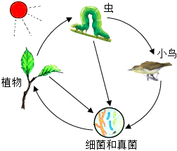 菁優(yōu)網(wǎng)