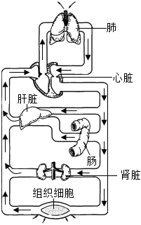 菁優(yōu)網(wǎng)