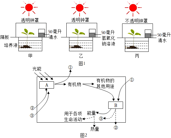 菁優(yōu)網(wǎng)